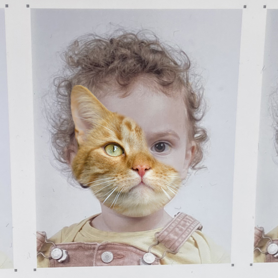  triptyque portrait enfant avec une moitie chat